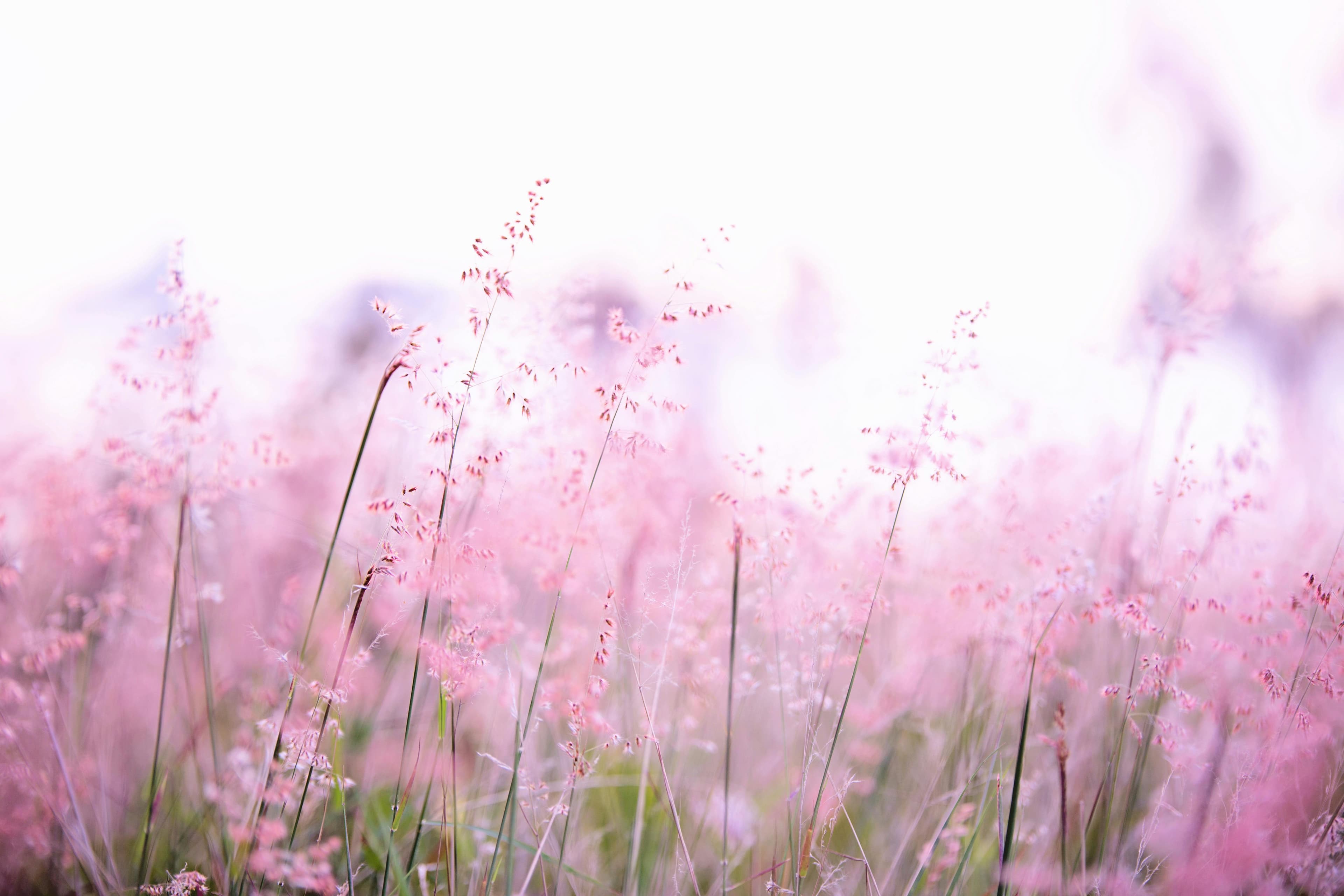 Roziela's Journey to Self-Care